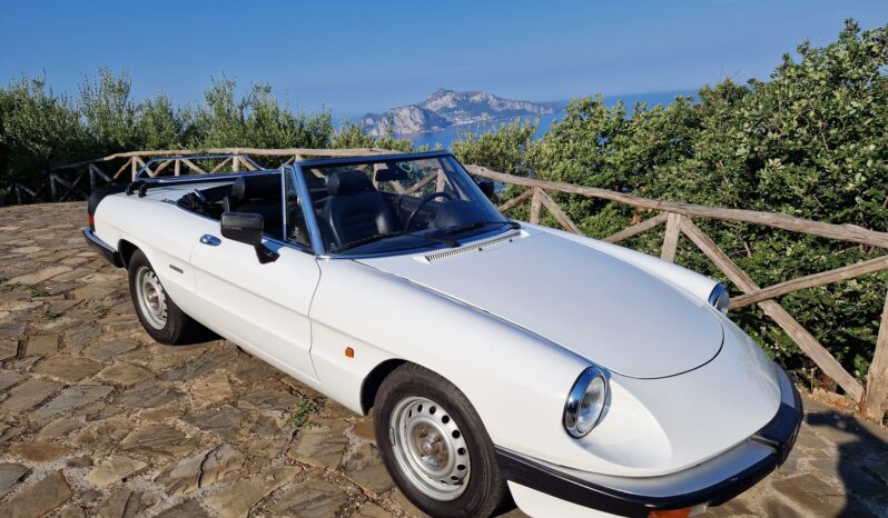 Alfa Romeo Duetto convertible - Sorrento Coast Rental