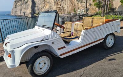 Citroen Mehari