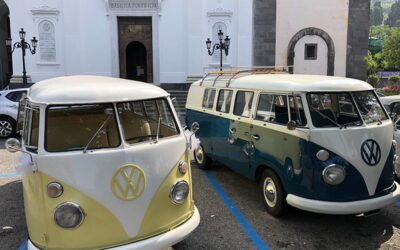 Volkswagen Split T1